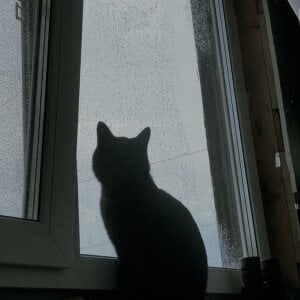 LuluSpark Sunshine Pic 7