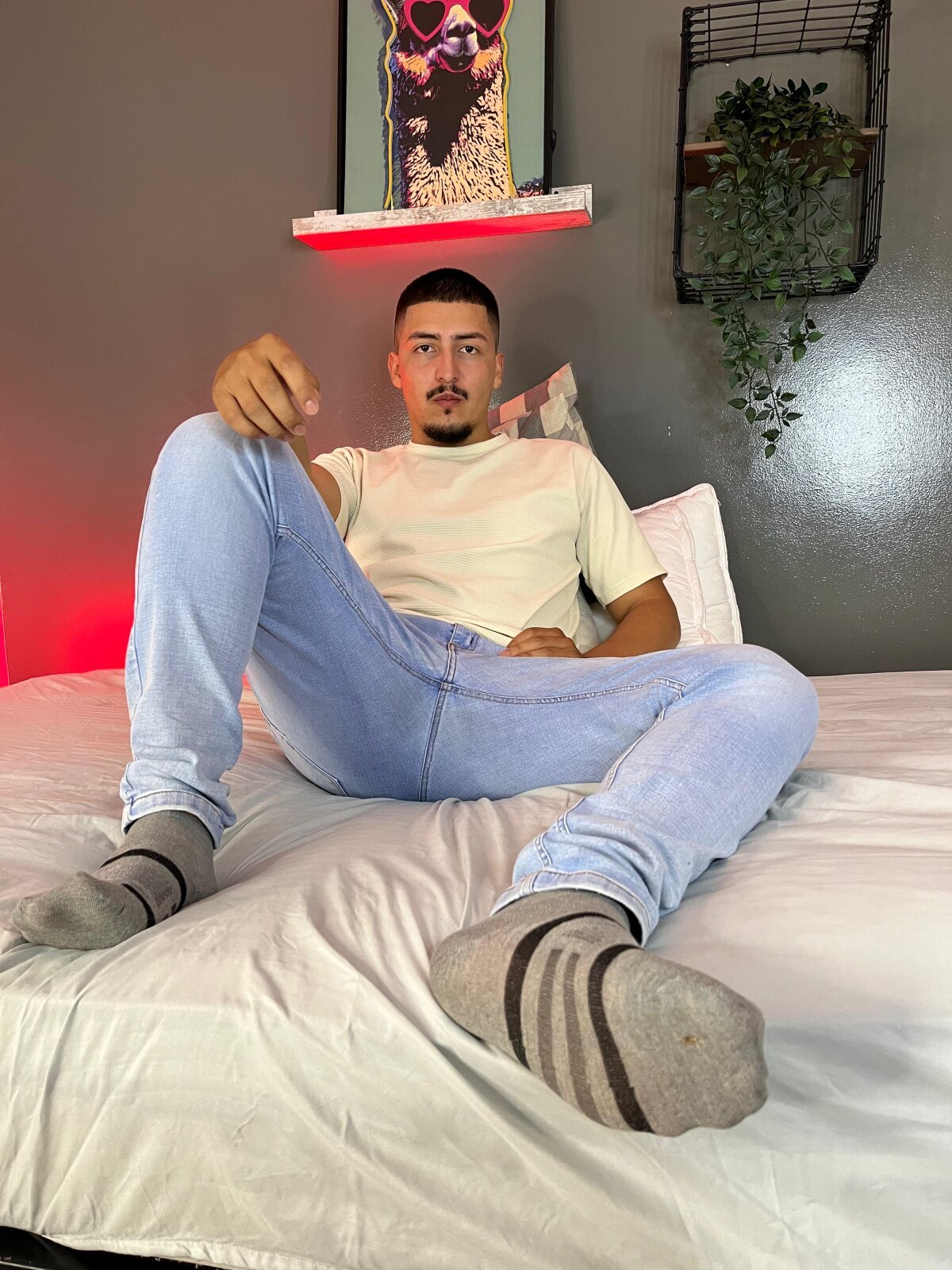 MrFox__ immagine di tendenza 7566