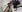 Cool_Freak_ Hot bdsm with mistress Photo 3