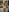 SofiaLopez77のNaked in the kitchenの 7枚の写真