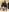 Angels1-2-3-4-5 ゆうひ/2024年11月/配信風景/その② 사진 2