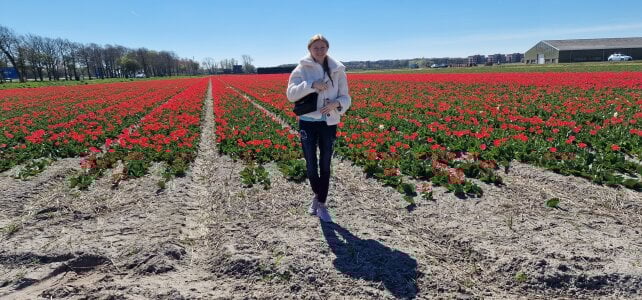 _Carrie_ Na polu tulipanów 🌷 Pic 3