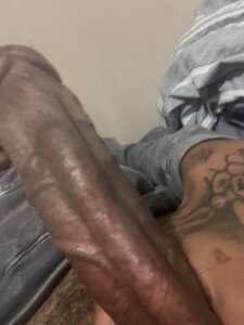 BB2PAID Public Pic 3