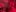 Me_Lisa red ecstasy Pic 6