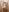celia_chanel shower photos Photo 6