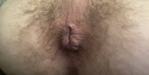 HornlessJapery Public Pic