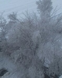 Audrey_Aura iced shackles Immagine  4