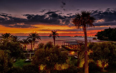 aavocadokのPublicの 9枚の写真