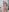 jessi_morgan naughty 사진 4