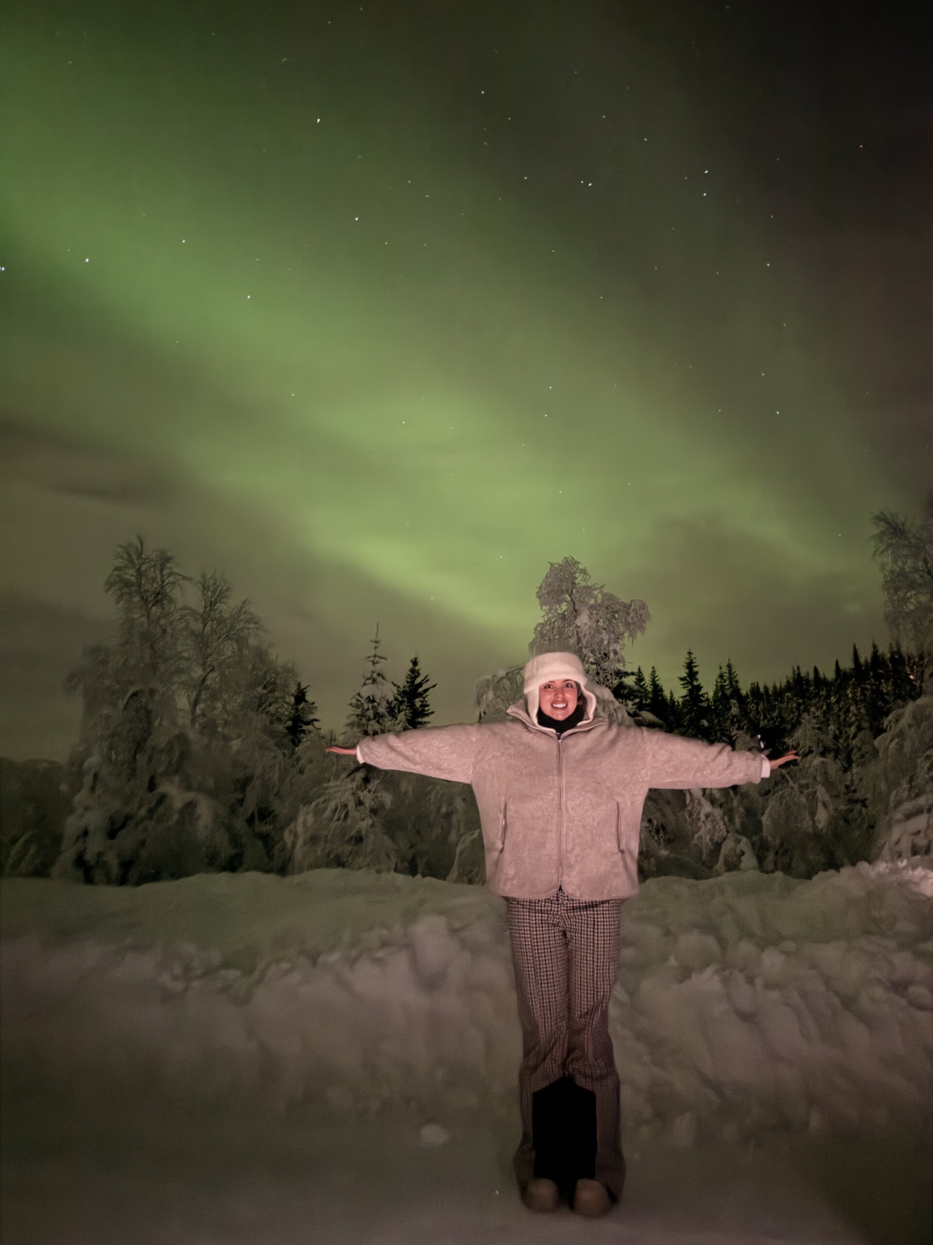 Alirawrz Northern lights зображення