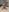 lilith_mimicutie照片 2