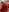 Mikka_Blush New image Photo 9