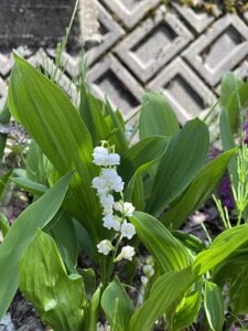 iiiviviii Public Pic 6