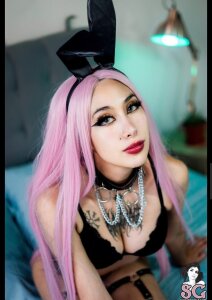 codekitten Public Pic 7