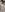 desirmiss1 J'ai très envie je suis très chaude je suce une bite et sa fini en facial au vestiaire Pic 6