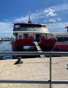 Zoe_King44 Walks 💦🌲 Kuva 6