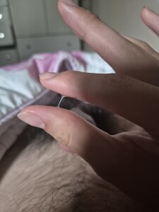 Sitar_S2 Public Immagine 