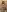Antonellaparis_ Enjoy this erotic content 🔥😎 Photo 4