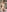 April_LoveUK The full picture x Pic