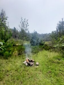 GraboumbomTranqui Bild 2