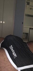 InsatiableKingD Bulge Billede 5