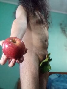 Public de OreCam  8 Imagens