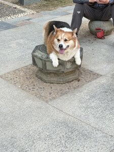 nian_nian_ kullanıcısının 01/15厦门（我来到，你的城市）（四个特区，终于都打卡了） albümü -  4 fotoğraf