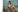 Rich_Eva777 In the boudoir Pic 2