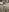 Devill_x Hello 🥵🥵🥵🔥 Pic 4