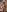 WILD-ANGEL777 NAKED BODY Photo 8