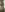 DianiQueenn Desnuda Pic 4