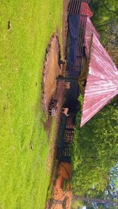 Gabosex18 Animales Poză 2