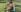 TilaTotti Masturbating Naked At The Park Pic 8