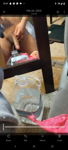 photosynthesis21 Public صورة واحدة|photosynthesis21 Public صورتان|photosynthesis21 Public  2 صور|photosynthesis21 Public  2 صورة