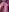 Ayeshaa__25 Holi nudes Photo 3
