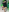 shanon_hughes_ Saint Patrick🍀 Pic 5