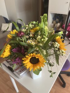 sweetalisson3 Public Pic 6