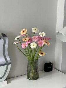 Hoa đồng tiền 🥰 de Iris_xyz Fotos