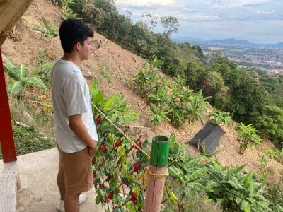 an afternoon with nature de AndyFame1  5 photos