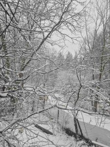 ilievmt84 Public зображення 5