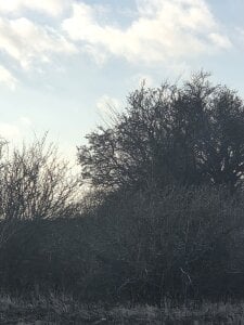 Arek245 kullanıcısının as albümü -  fotoğraf