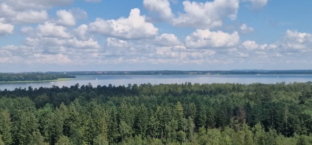 KOMANDOS74 Public Pic 2