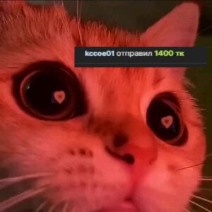 MaryNixon_ My KINGS 👑 Pic 2