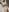 -BalanCe- naked pussy Immagine  6