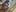 SexyFriends_ Delicious tiana tits Photo 5