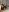 ニャ�ーニャー de Maekko Fotos 7