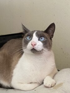 my loves de alisson_zafiro_ Foto 2