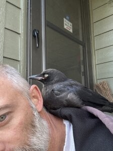 Playwithmeee: Public ( фото)