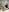 DonnaMagdalenaのSweet New year 2025)))の 7枚の写真
