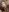WildaBrimhallphoto照片 6